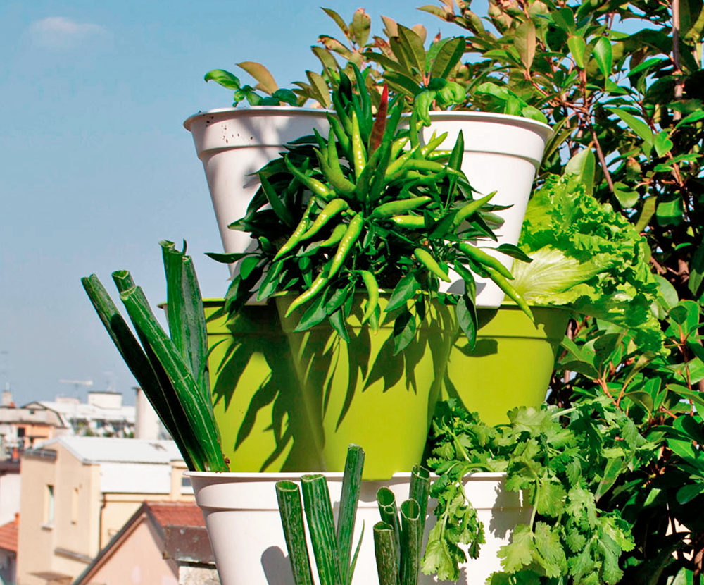 Piante per il balcone: quali scegliere e come curarle